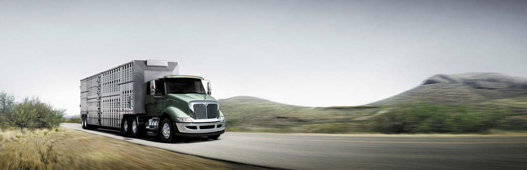 International TranStar